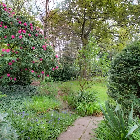 Large 3 Bedroom Apartment With Free Parking Near Beach And Meyrick Park Fast Wifi-3