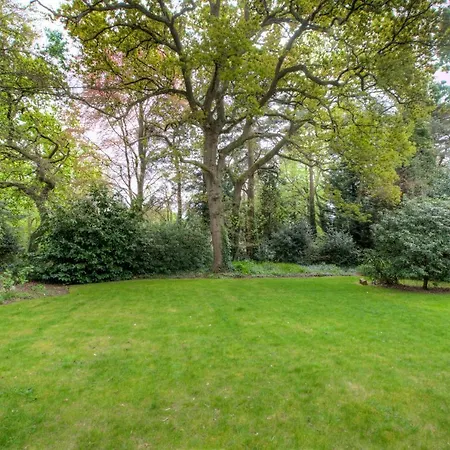 Large 3 Bedroom Apartment With Free Parking Near Beach And Meyrick Park Fast Wifi-2